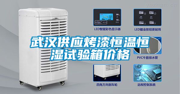 武漢供應(yīng)烤漆恒溫恒濕試驗(yàn)箱價(jià)格