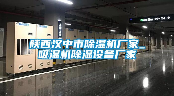 陜西漢中市除濕機廠家_吸濕機除濕設(shè)備廠家