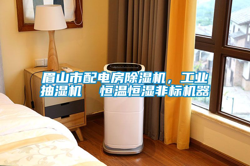 眉山市配電房除濕機(jī)，工業(yè)抽濕機(jī)  恒溫恒濕非標(biāo)機(jī)器