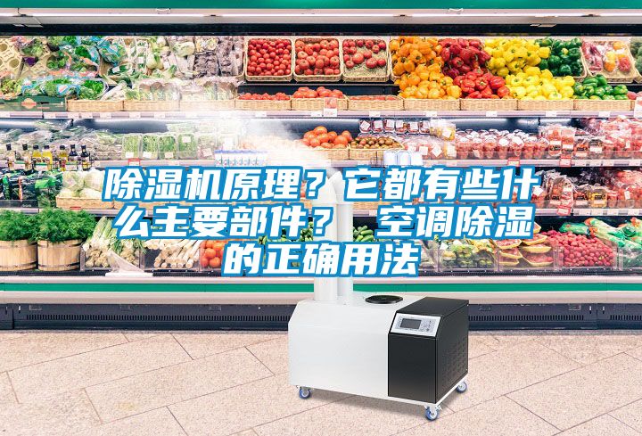 除濕機(jī)原理？它都有些什么主要部件？ 空調(diào)除濕的正確用法