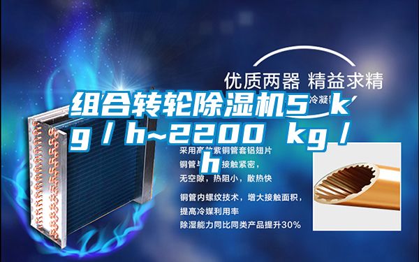 組合轉(zhuǎn)輪除濕機(jī)5 kg／h~2200 kg／h