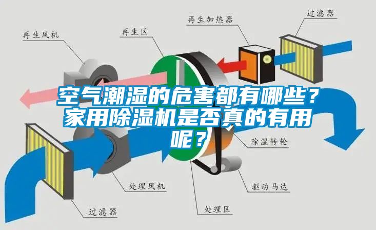 空氣潮濕的危害都有哪些？家用除濕機(jī)是否真的有用呢？
