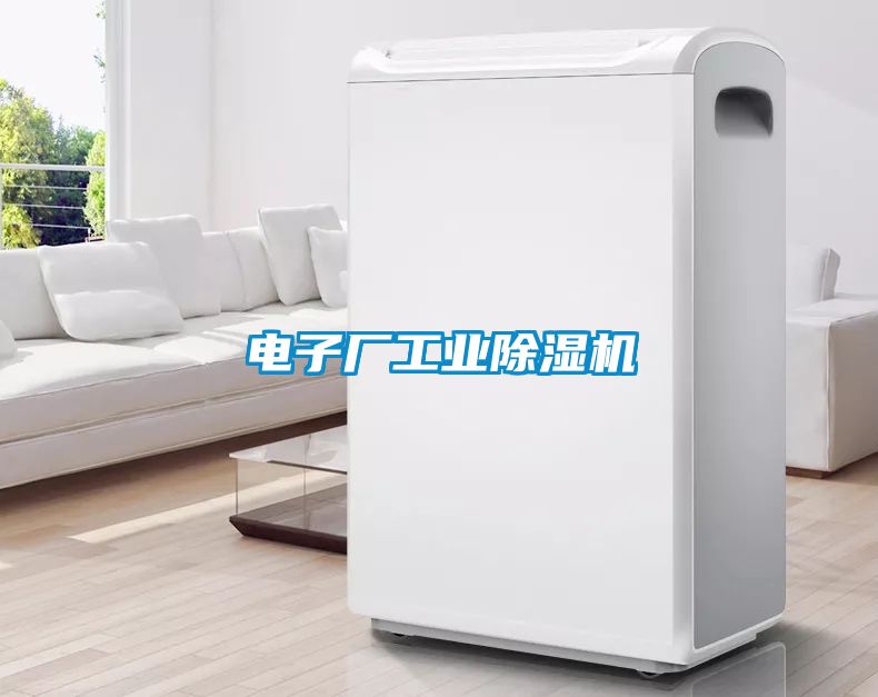 電子廠工業(yè)除濕機