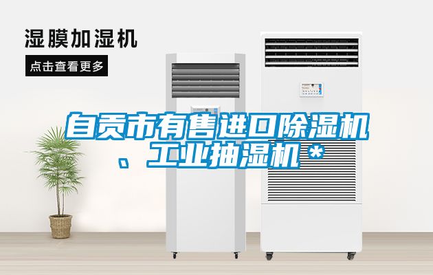 自貢市有售進(jìn)口除濕機(jī)、工業(yè)抽濕機(jī)＊