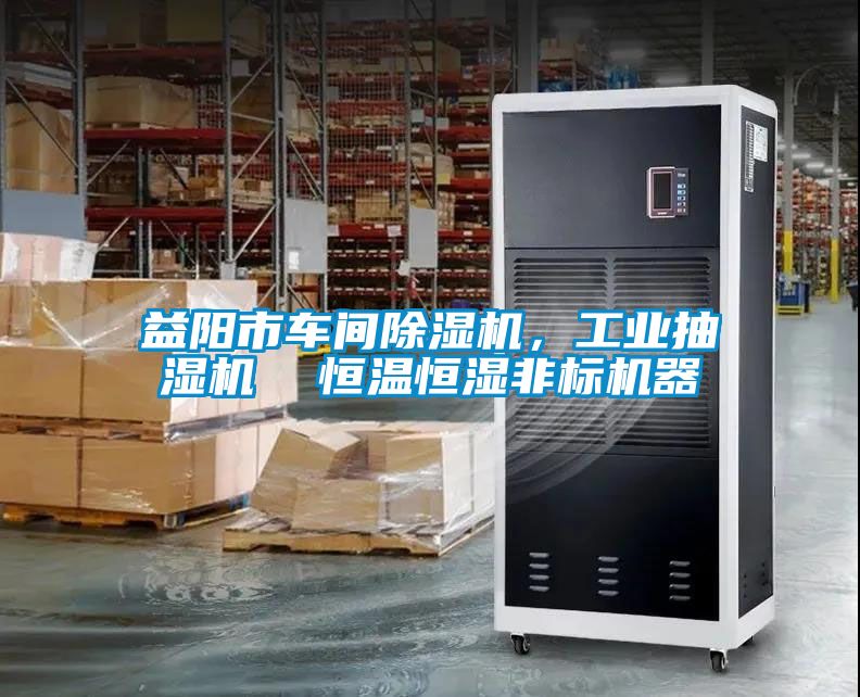 益陽市車間除濕機，工業(yè)抽濕機  恒溫恒濕非標機器
