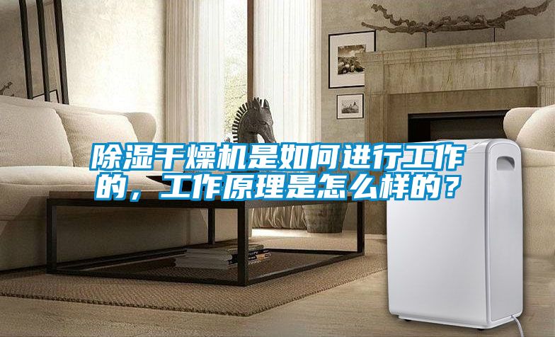 除濕干燥機是如何進行工作的，工作原理是怎么樣的？