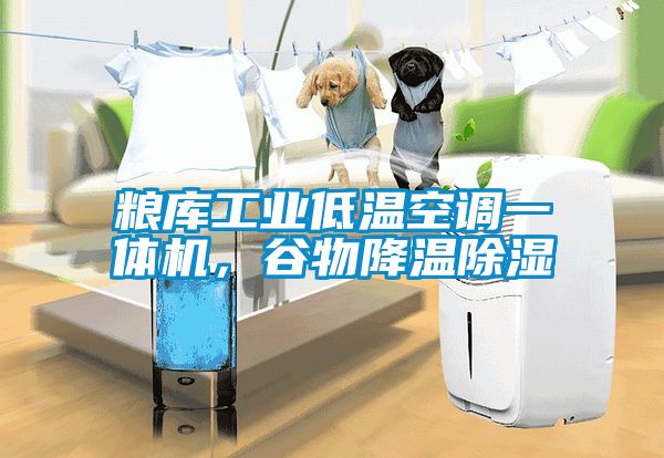 糧庫(kù)工業(yè)低溫空調(diào)一體機(jī)，谷物降溫除濕