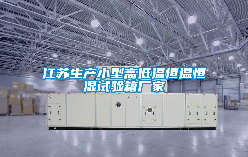 江蘇生產(chǎn)小型高低溫恒溫恒濕試驗箱廠家