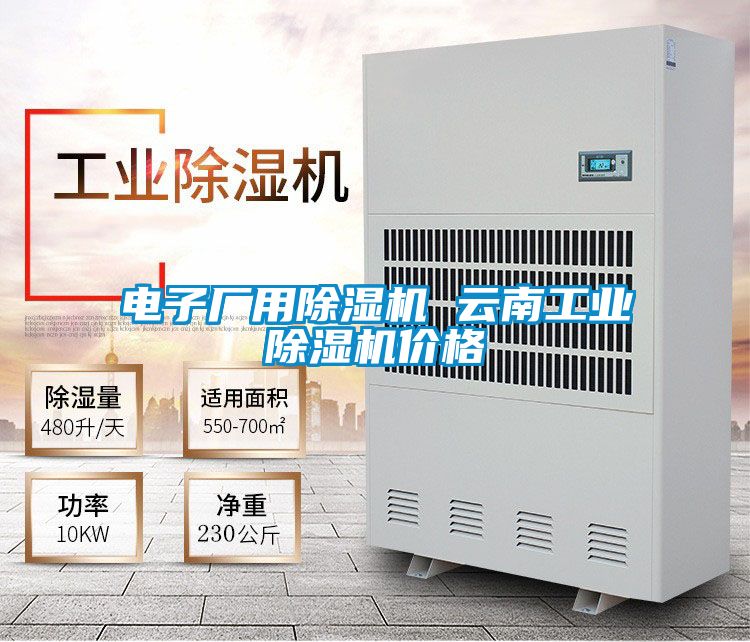 電子廠用除濕機 云南工業(yè)除濕機價格