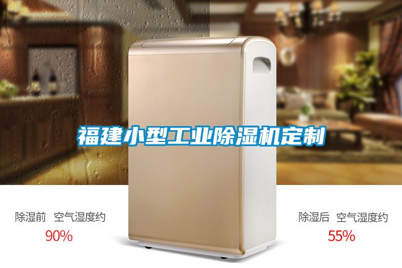 福建小型工業(yè)除濕機(jī)定制
