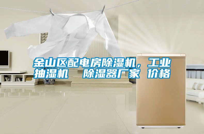 金山區(qū)配電房除濕機(jī)，工業(yè)抽濕機(jī)  除濕器廠家 價(jià)格