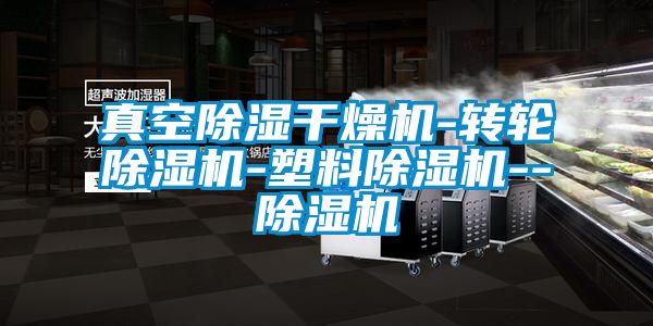 真空除濕干燥機(jī)-轉(zhuǎn)輪除濕機(jī)-塑料除濕機(jī)--除濕機(jī)