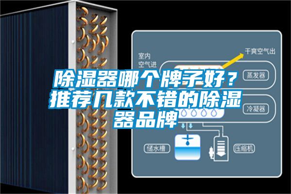 除濕器哪個牌子好？推薦幾款不錯的除濕器品牌