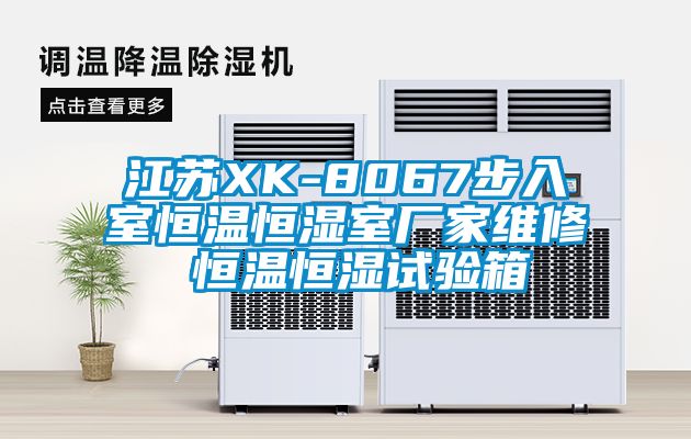 江蘇XK-8067步入室恒溫恒濕室廠家維修 恒溫恒濕試驗箱