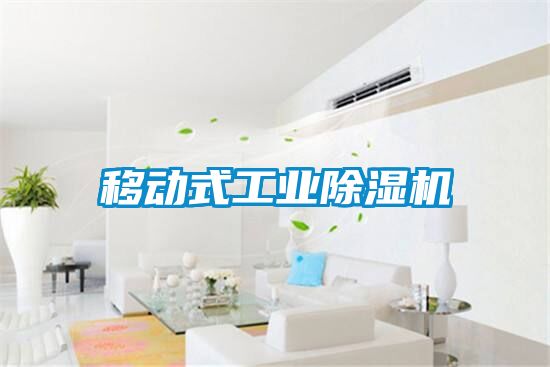 移動(dòng)式工業(yè)除濕機(jī)