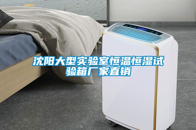 沈陽大型實(shí)驗(yàn)室恒溫恒濕試驗(yàn)箱廠家直銷