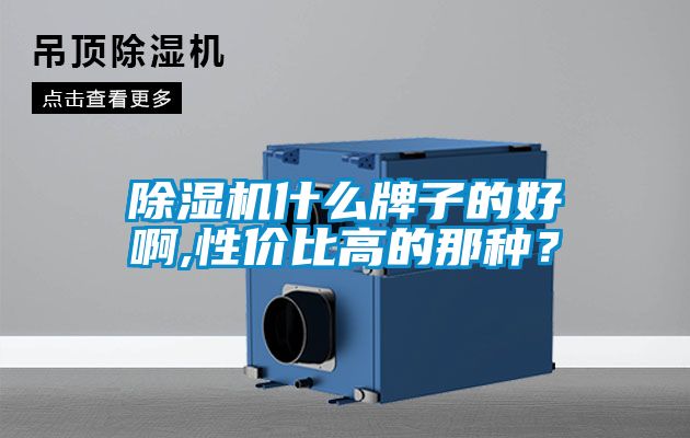 除濕機什么牌子的好啊,性價比高的那種？