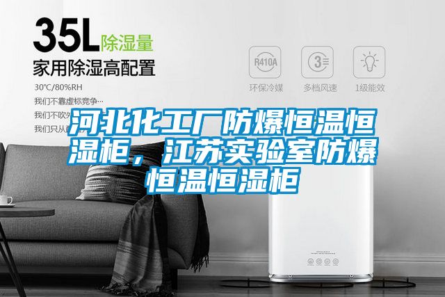 河北化工廠防爆恒溫恒濕柜，江蘇實(shí)驗(yàn)室防爆恒溫恒濕柜