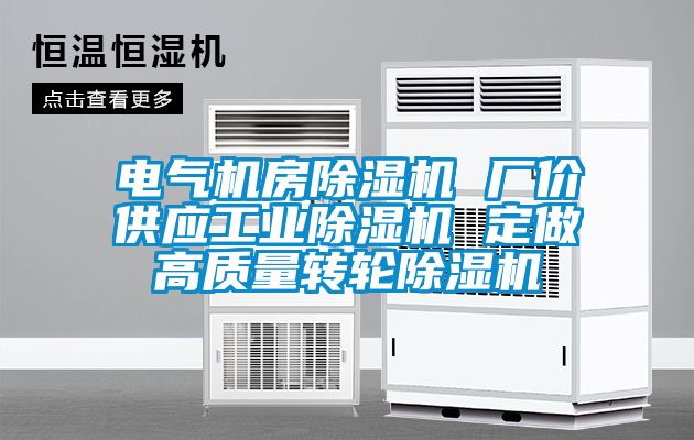 電氣機房除濕機 廠價供應工業(yè)除濕機 定做高質量轉輪除濕機