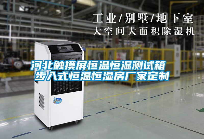 河北觸摸屏恒溫恒濕測(cè)試箱 步入式恒溫恒濕房廠家定制