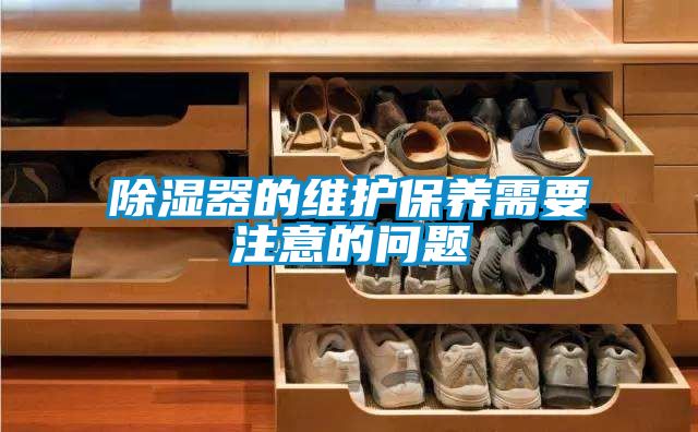 除濕器的維護(hù)保養(yǎng)需要注意的問題