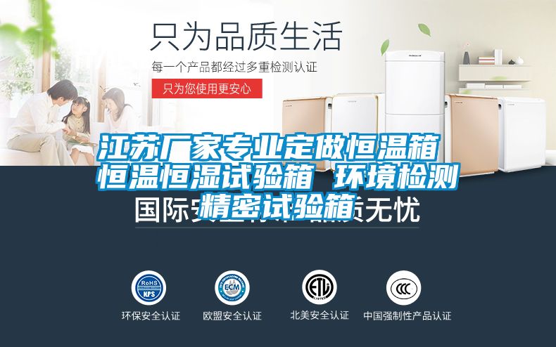 江蘇廠家專業(yè)定做恒溫箱 恒溫恒濕試驗箱 環(huán)境檢測精密試驗箱
