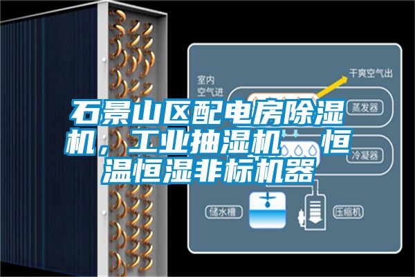石景山區(qū)配電房除濕機(jī)，工業(yè)抽濕機(jī)  恒溫恒濕非標(biāo)機(jī)器