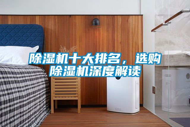 除濕機(jī)十大排名，選購除濕機(jī)深度解讀