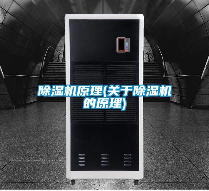除濕機原理(關(guān)于除濕機的原理)