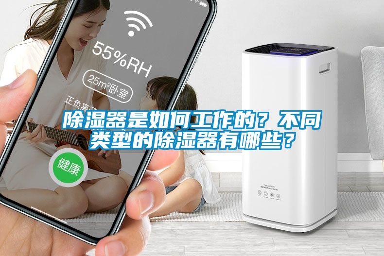 除濕器是如何工作的？不同類型的除濕器有哪些？