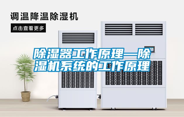 除濕器工作原理—除濕機(jī)系統(tǒng)的工作原理