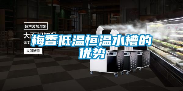 梅香低溫恒溫水槽的優(yōu)勢(shì)