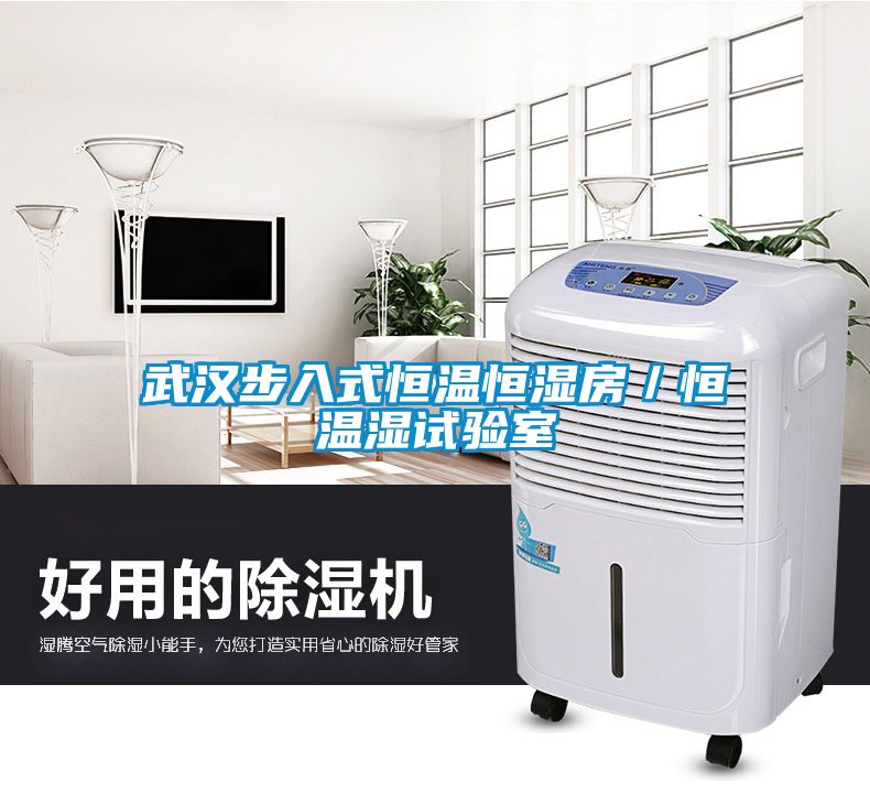 武漢步入式恒溫恒濕房／恒溫濕試驗(yàn)室