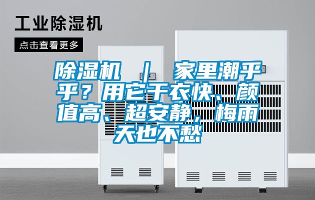 除濕機 ｜ 家里潮乎乎？用它干衣快、顏值高、超安靜，梅雨天也不愁