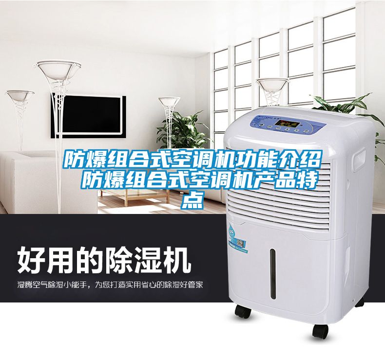 防爆組合式空調(diào)機(jī)功能介紹 防爆組合式空調(diào)機(jī)產(chǎn)品特點(diǎn)