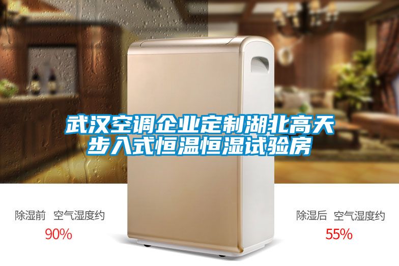 武漢空調(diào)企業(yè)定制湖北高天步入式恒溫恒濕試驗(yàn)房