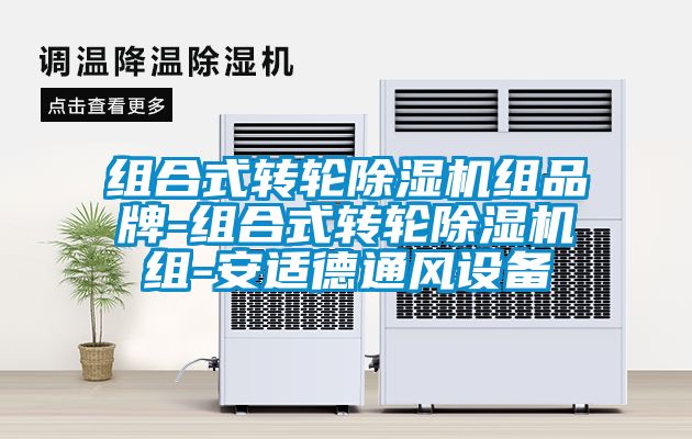 組合式轉(zhuǎn)輪除濕機組品牌-組合式轉(zhuǎn)輪除濕機組-安適德通風設備
