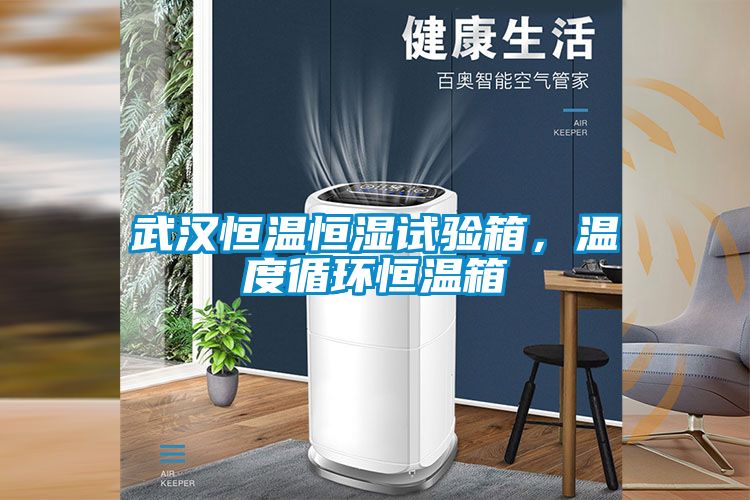 武漢恒溫恒濕試驗(yàn)箱，溫度循環(huán)恒溫箱