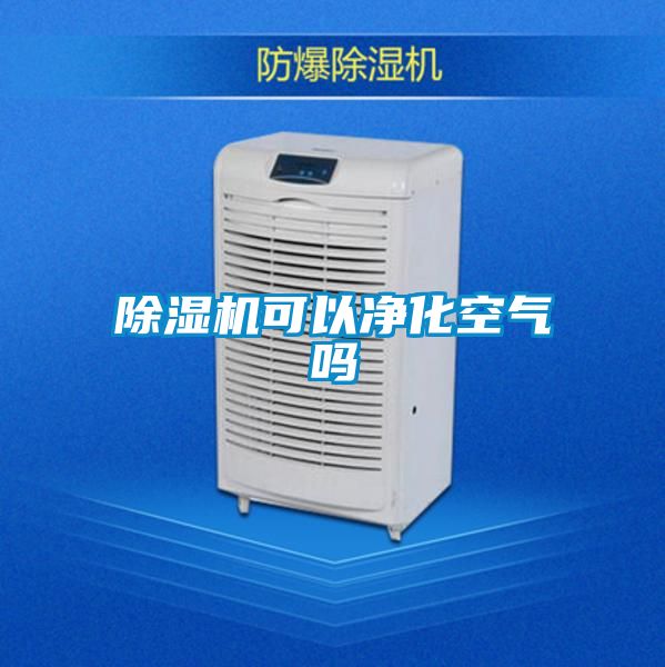 除濕機(jī)可以凈化空氣嗎