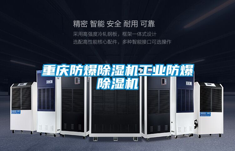重慶防爆除濕機工業(yè)防爆除濕機