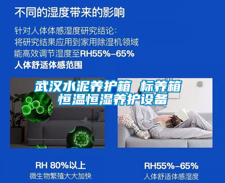 武漢水泥養(yǎng)護(hù)箱 標(biāo)養(yǎng)箱 恒溫恒濕養(yǎng)護(hù)設(shè)備