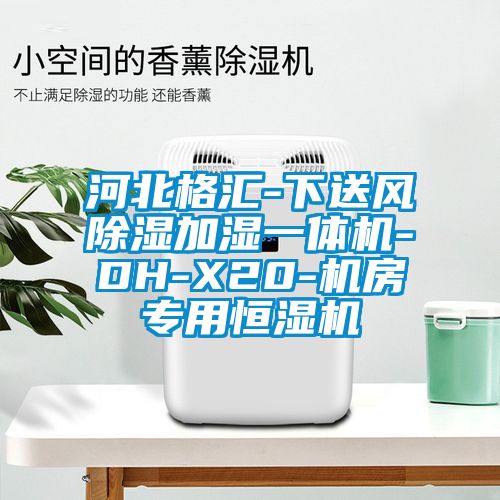 河北格匯-下送風除濕加濕一體機-DH-X20-機房專用恒濕機