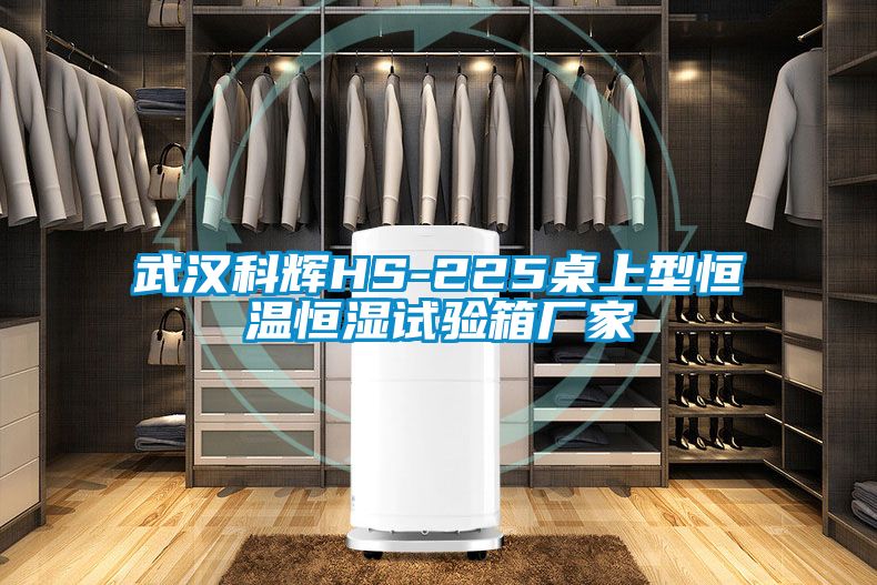 武漢科輝HS-225桌上型恒溫恒濕試驗(yàn)箱廠家