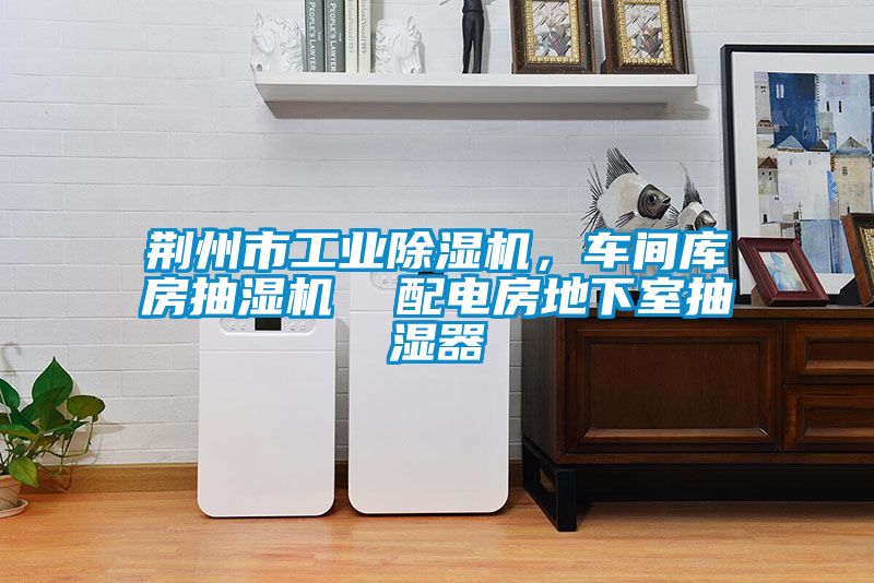 荊州市工業(yè)除濕機(jī)，車間庫房抽濕機(jī)  配電房地下室抽濕器