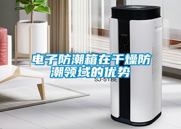 電子防潮箱在干燥防潮領(lǐng)域的優(yōu)勢