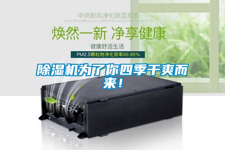 除濕機為了你四季干爽而來！