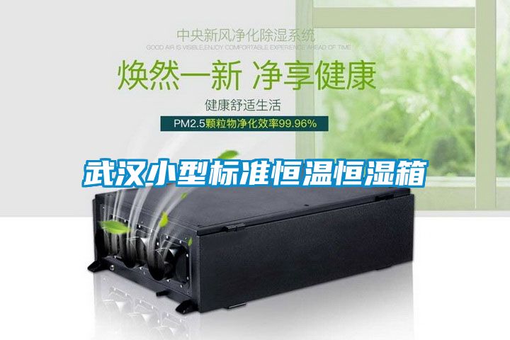 武漢小型標(biāo)準(zhǔn)恒溫恒濕箱