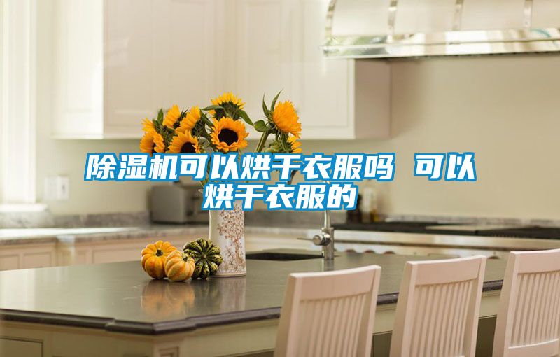 除濕機(jī)可以烘干衣服嗎 可以烘干衣服的