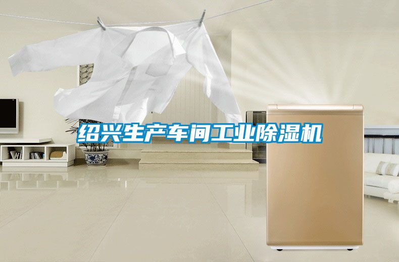 紹興生產(chǎn)車間工業(yè)除濕機(jī)