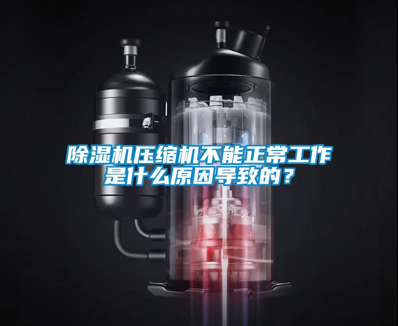 除濕機壓縮機不能正常工作是什么原因?qū)е碌模?/></p>
<p style=